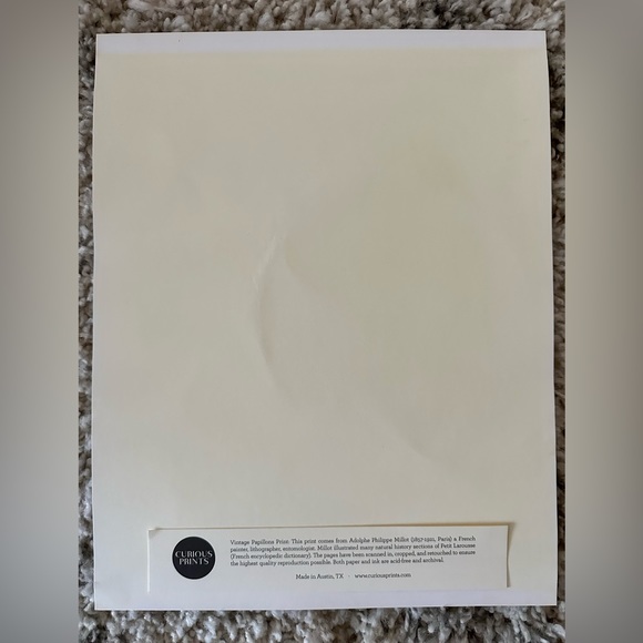 Vintage Papillons Print | Adolphe Philippe Millot ( 1857 – 1921, Paris ) - Picture 2 of 6